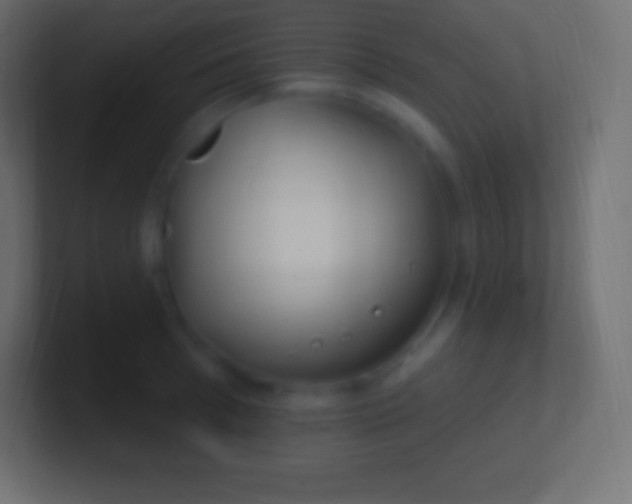 X0000100780993200807031227