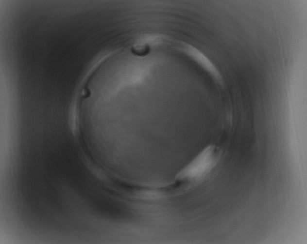 X0000100780994200807031227