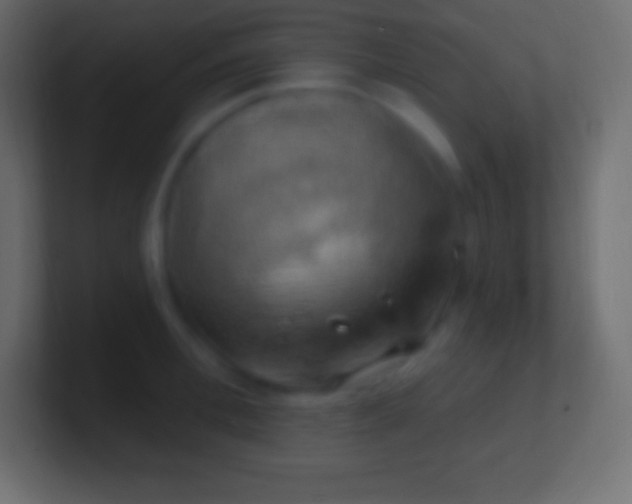 X0000100780996200807031227