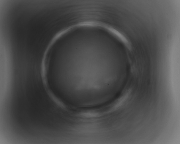 X0000100780998200807031227