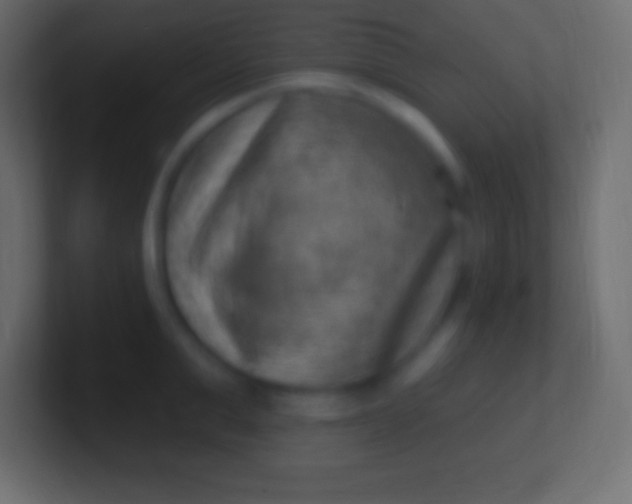 X0000100780999200807031227