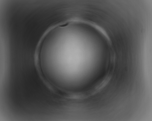 X0000100781005200807031227