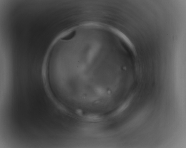 X0000100781007200807031227