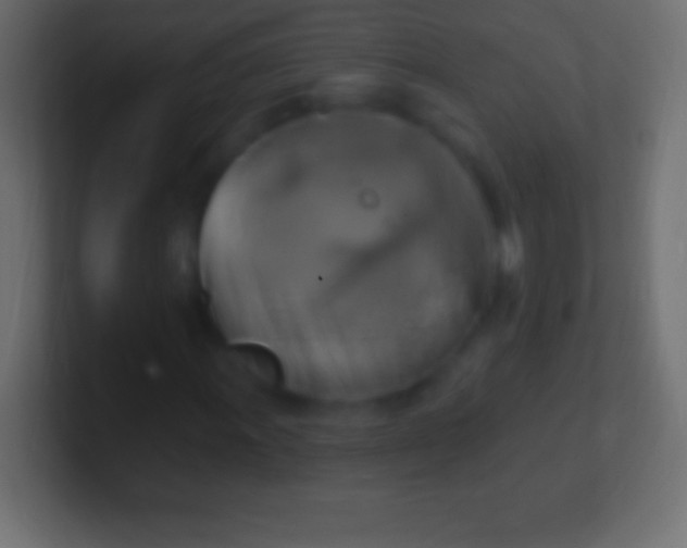 X0000100781011200807031227