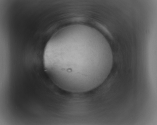 X0000100781015200807031227