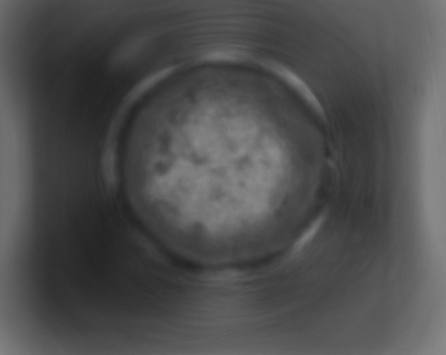 X0000100781019200807031227