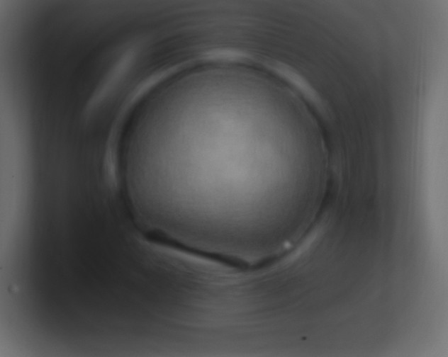 X0000100781022200807031227