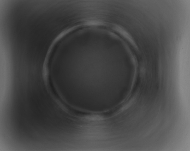 X0000100781024200807031227