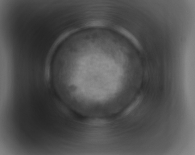 X0000100781027200807031227