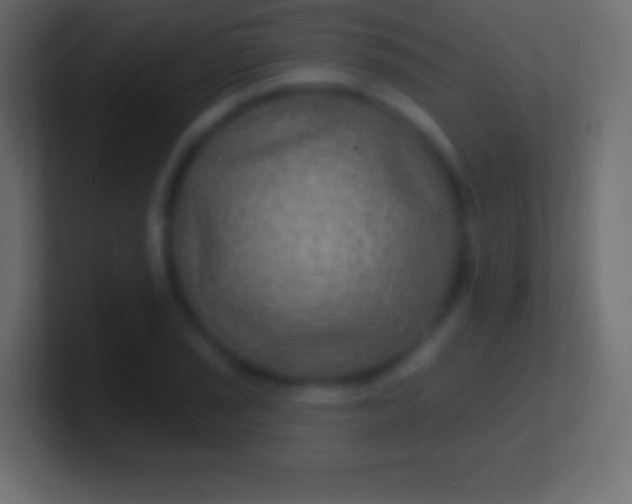 X0000100781029200807031227