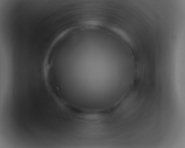 X0000100781031200807031227