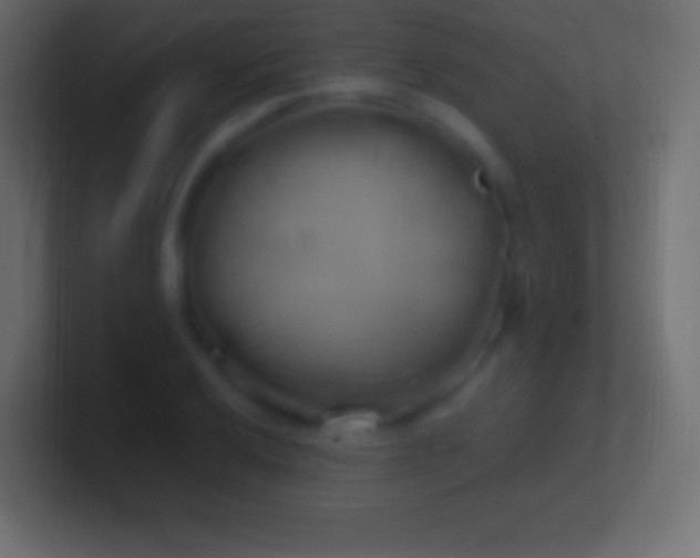 X0000100781032200807031227