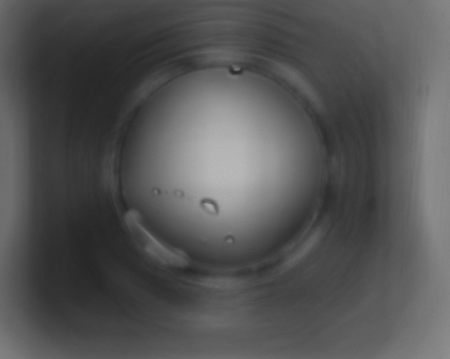 X0000100781033200807031227