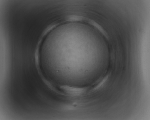 X0000100781034200807031227