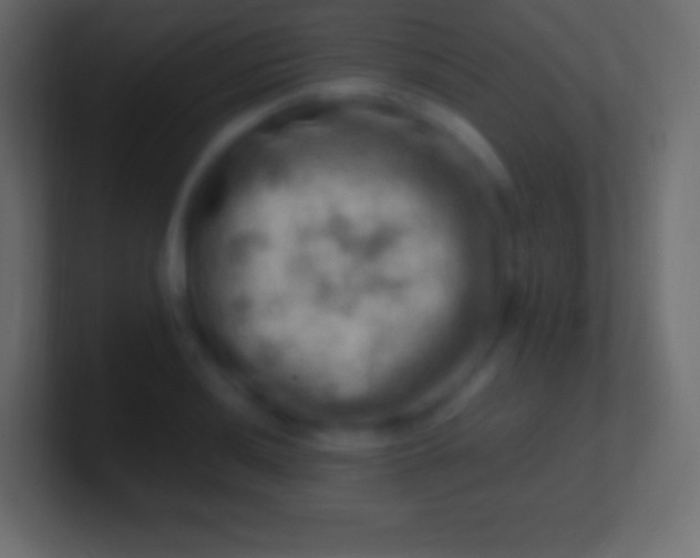 X0000100781036200807031227