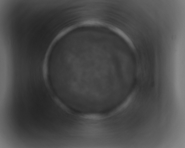 X0000100781037200807031227