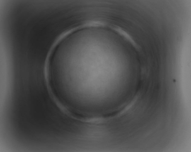 X0000100781038200807031227