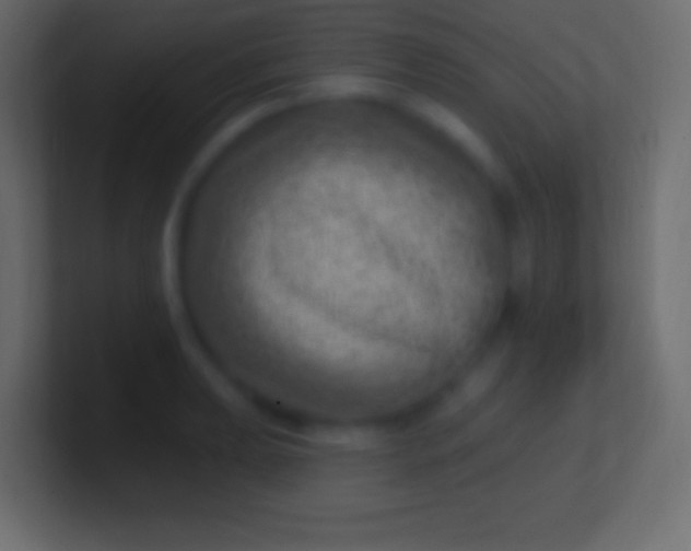 X0000100781039200807031227