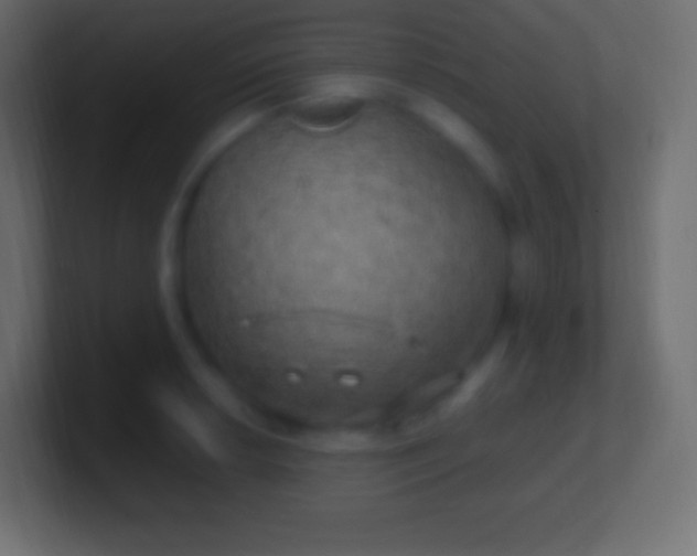 X0000100781042200807031227