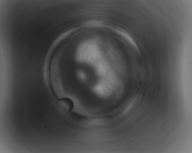 X0000100781043200807031227