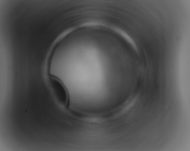 X0000100781045200807031227