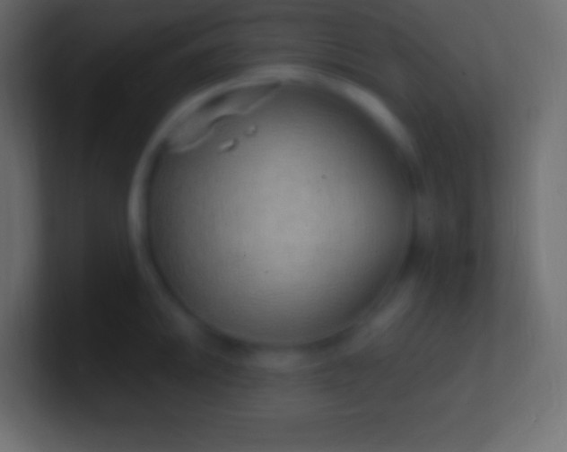 X0000100781046200807031227