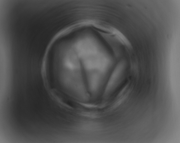 X0000100781052200807031227