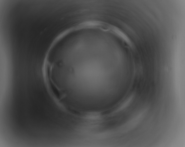 X0000100781055200807031227