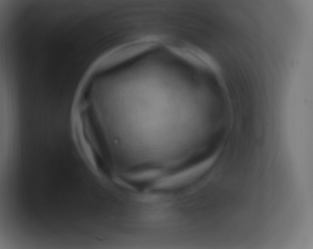 X0000100781056200807031227