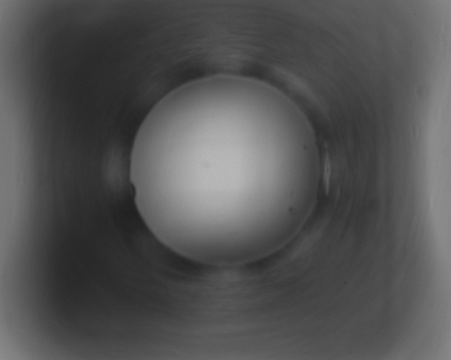 X0000100781058200807031227