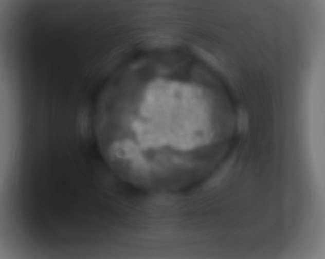 X0000100781059200807031227