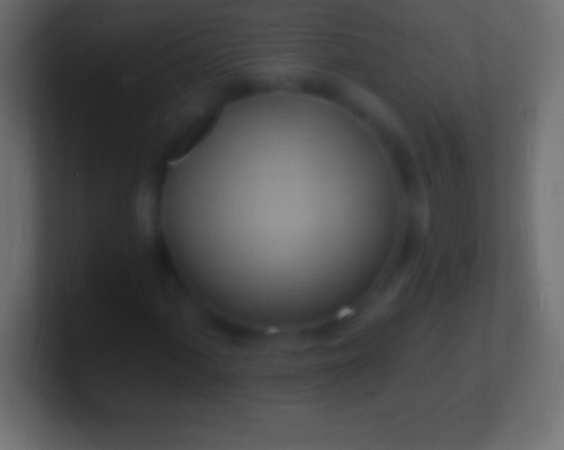 X0000100781060200807031227