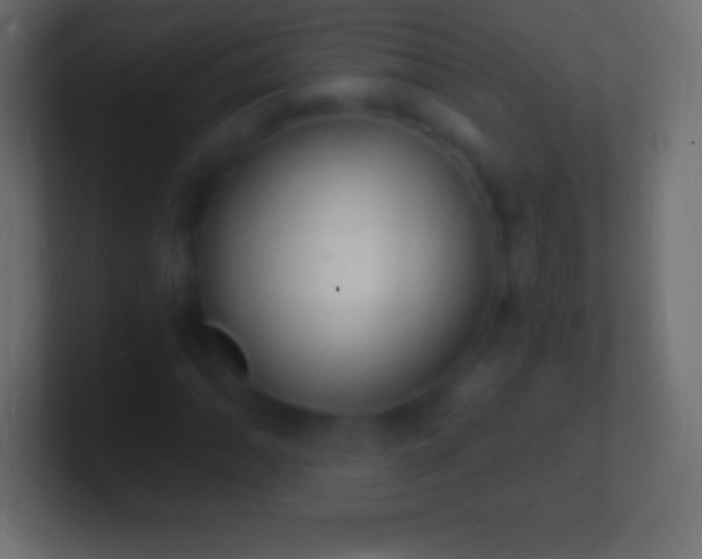 X0000100781062200807031227