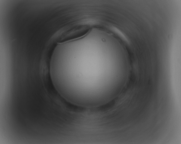 X0000100781064200807031227