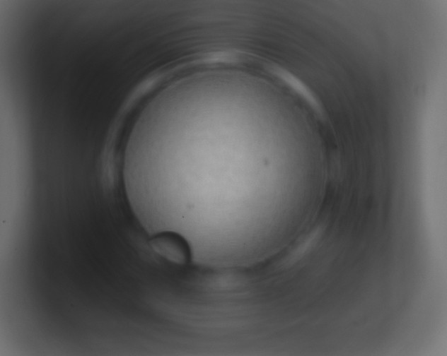 X0000100781067200807031226