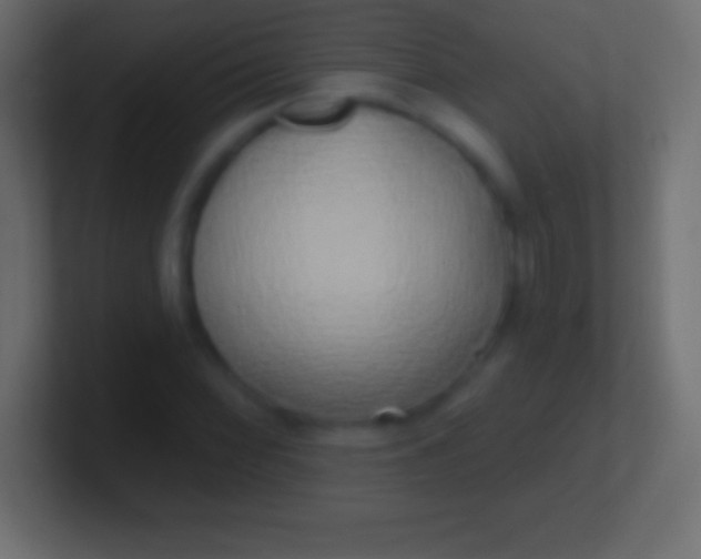 X0000100781068200807031226