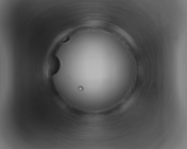 X0000100781069200807031226