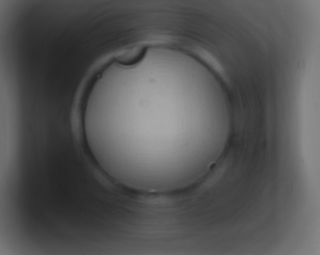 X0000100781072200807031226