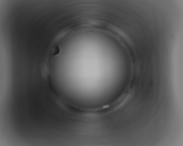 X0000100781073200807031226