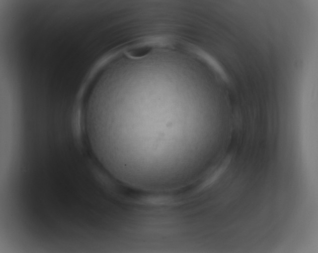 X0000100781075200807031226