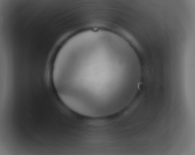 X0000100781076200807031226