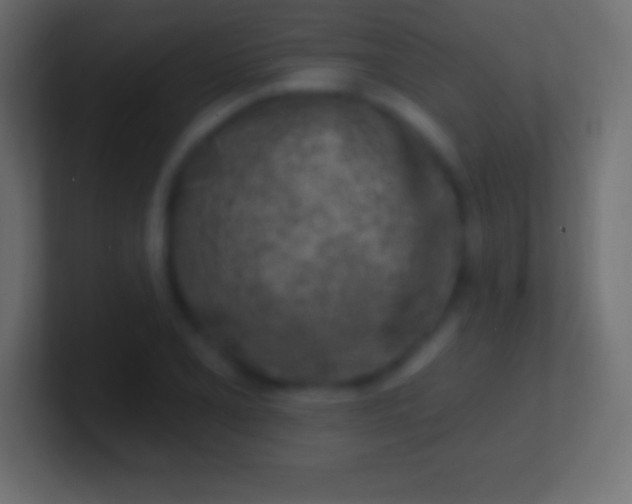 X0000100781077200807031226