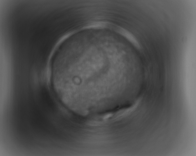 X0000100781079200807031226