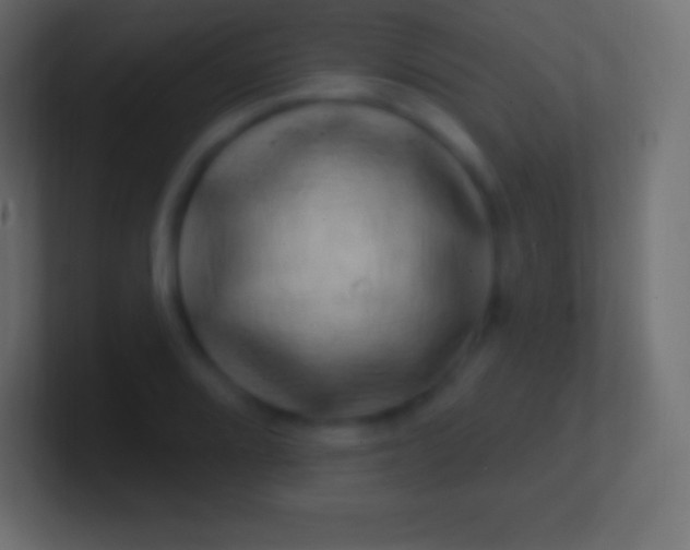 X0000100781080200807031226