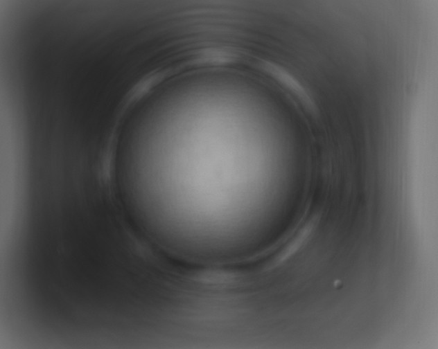 X0000100781081200807031226