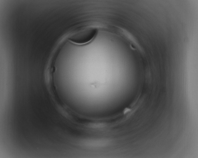 X0000100781082200807031226