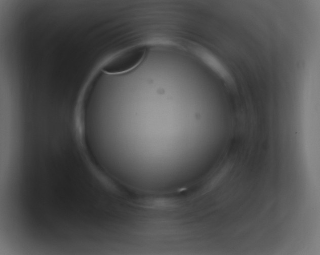 X0000100781084200807031226