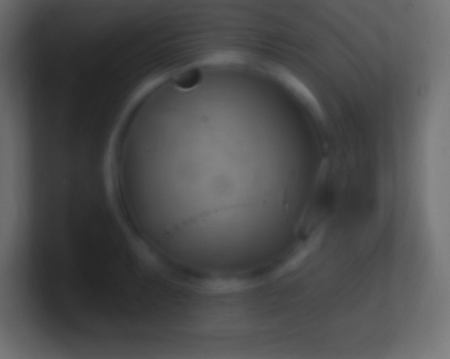 X0000100781087200807031226