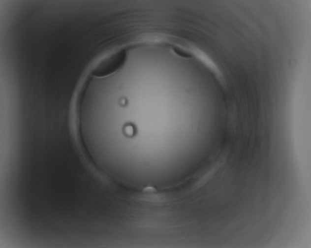 X0000100781088200807031226