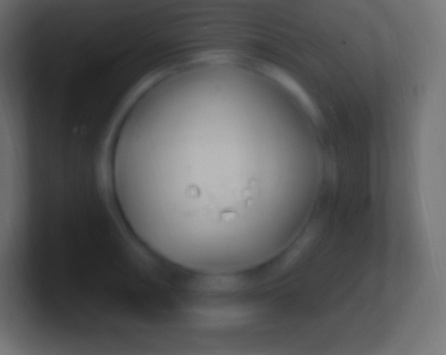 X0000100781090200807031226